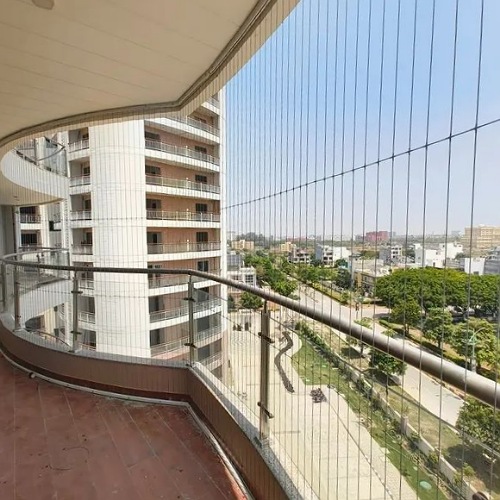 IMG_20250726_081825_(500_x_500_pixel)