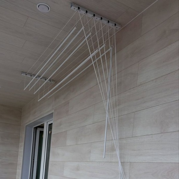 IMG_20250728_083513_(600_x_600_pixel)