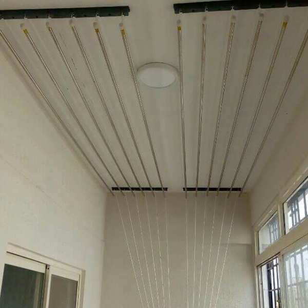 IMG_20250728_083602_(600_x_600_pixel)